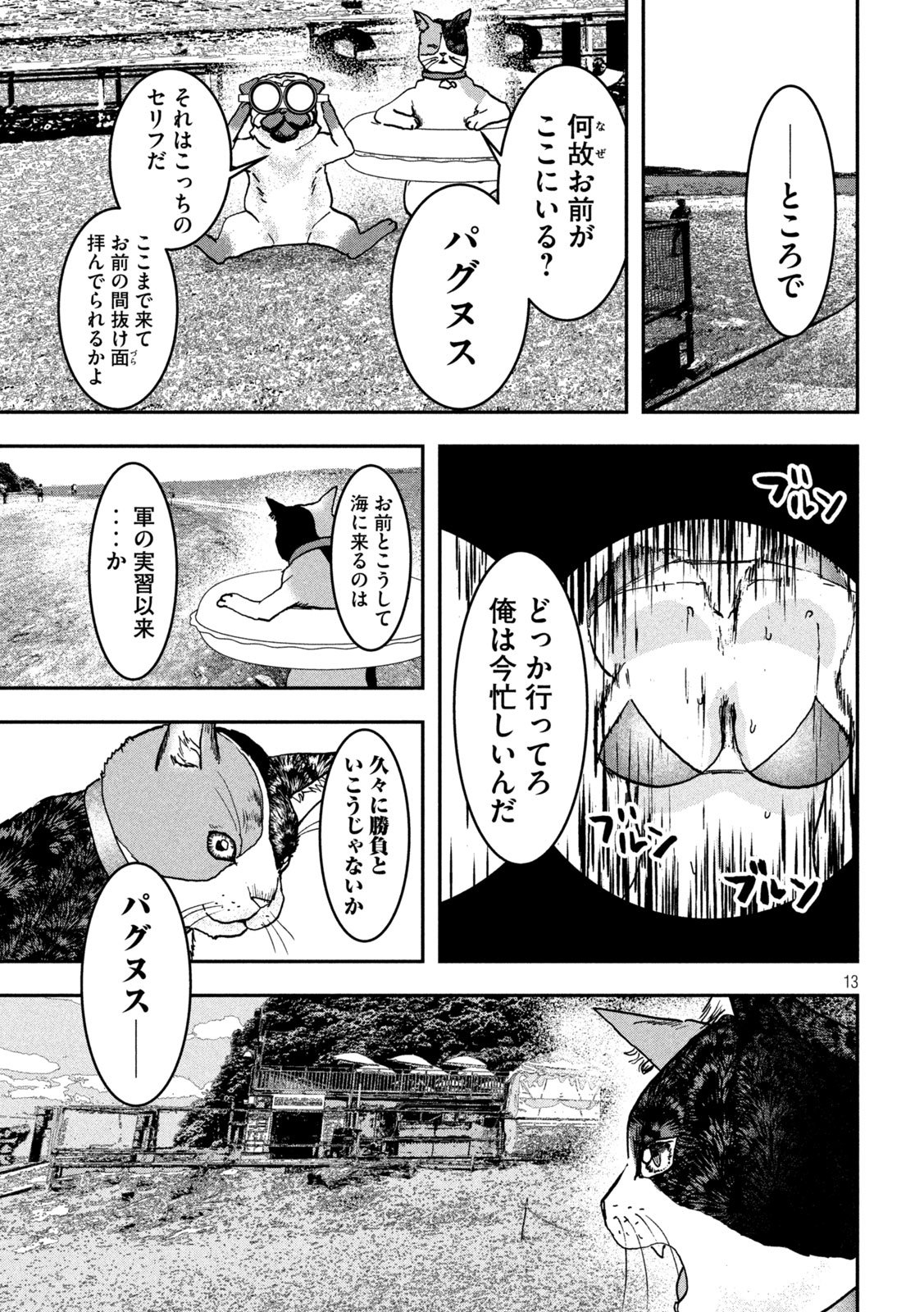 Page 13