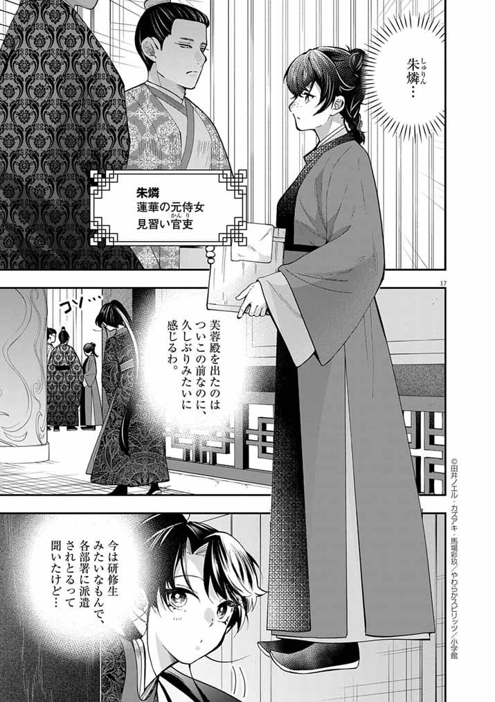 Page 17