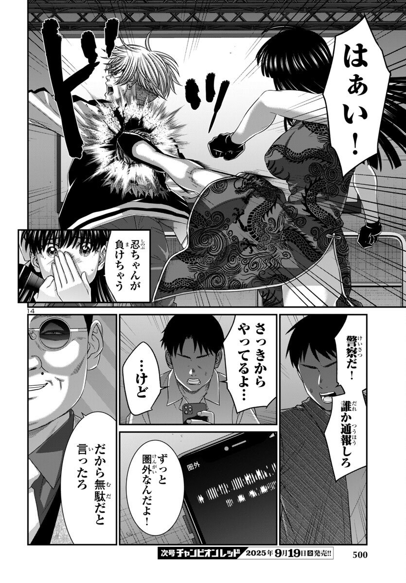 Page 14