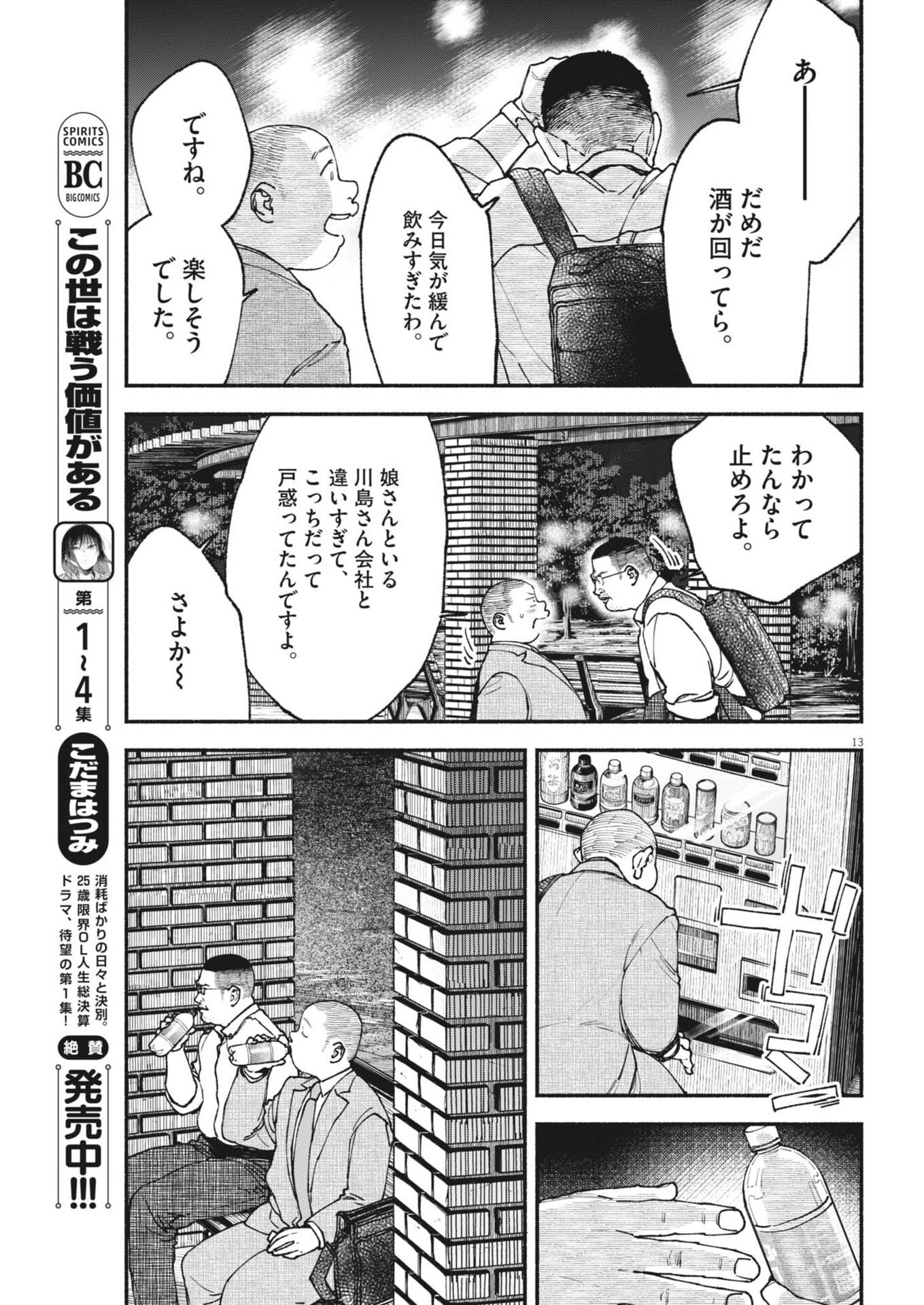 Page 13
