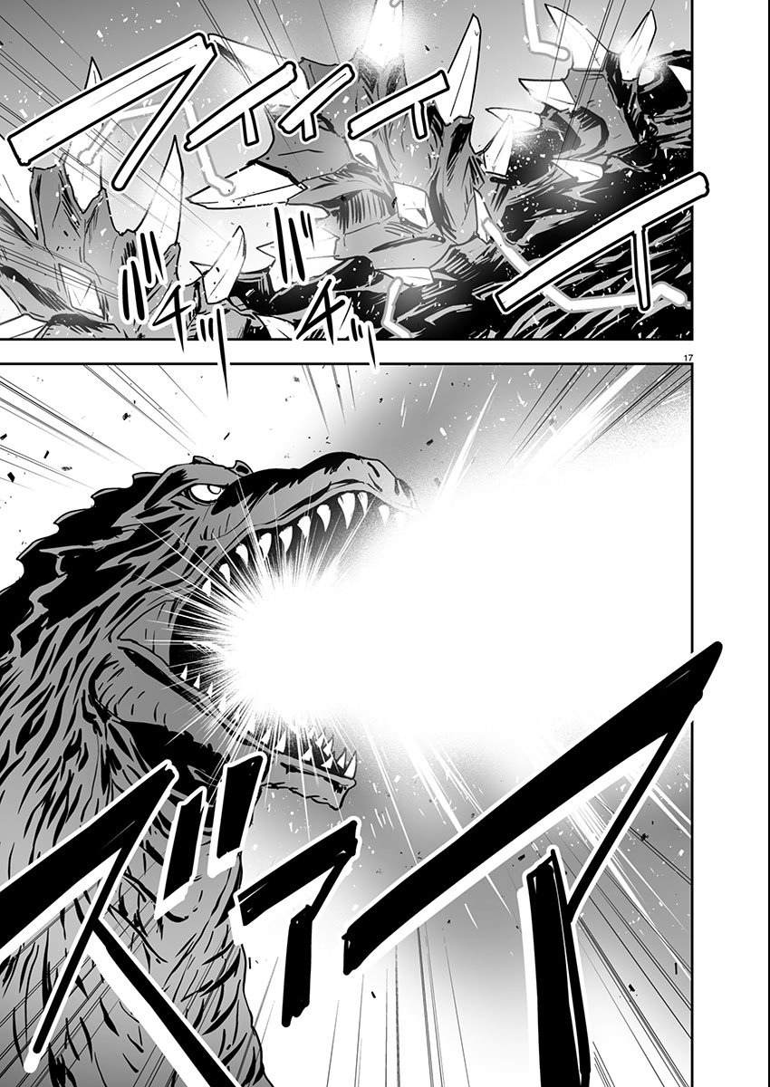 Page 17