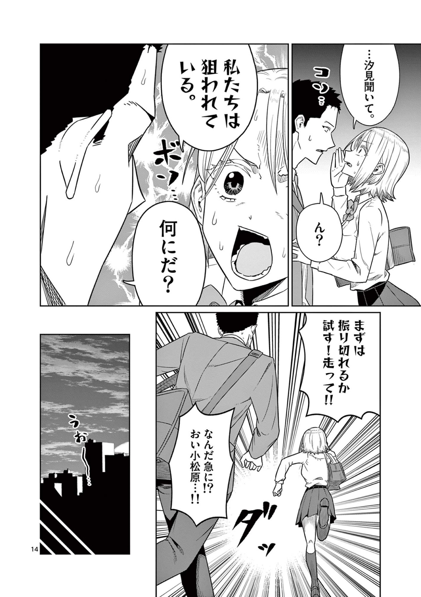 Page 14