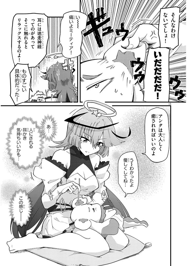 Page 13