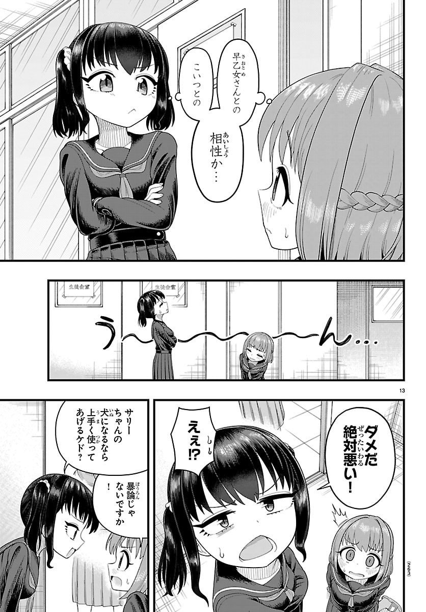 Page 13