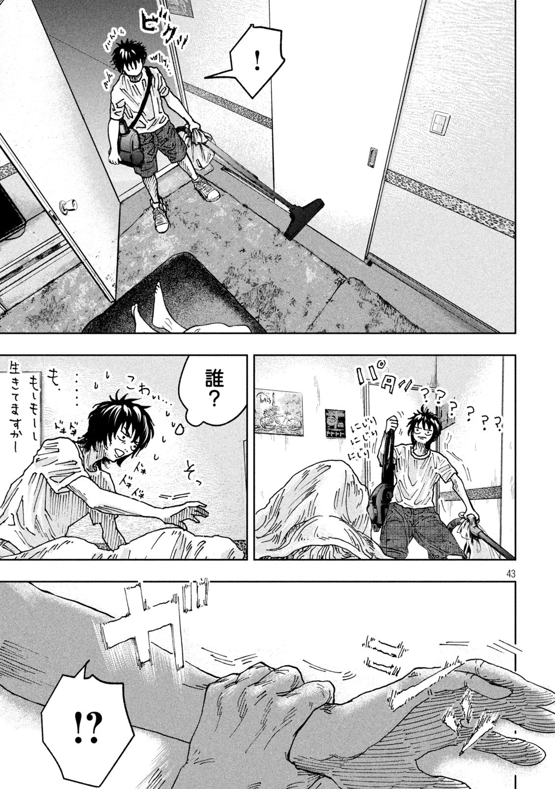 Page 43