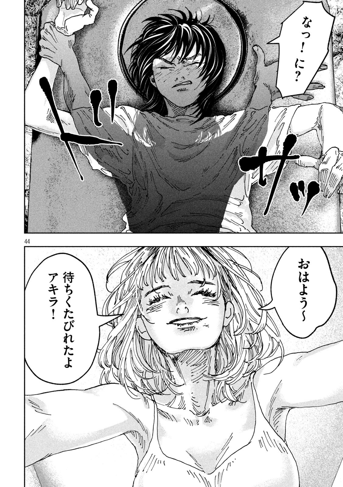 Page 44