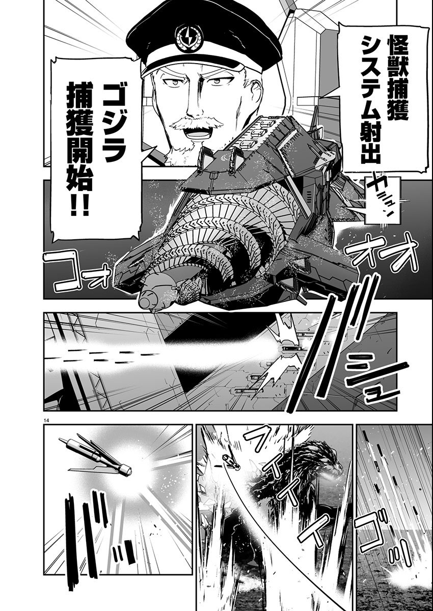 Page 14