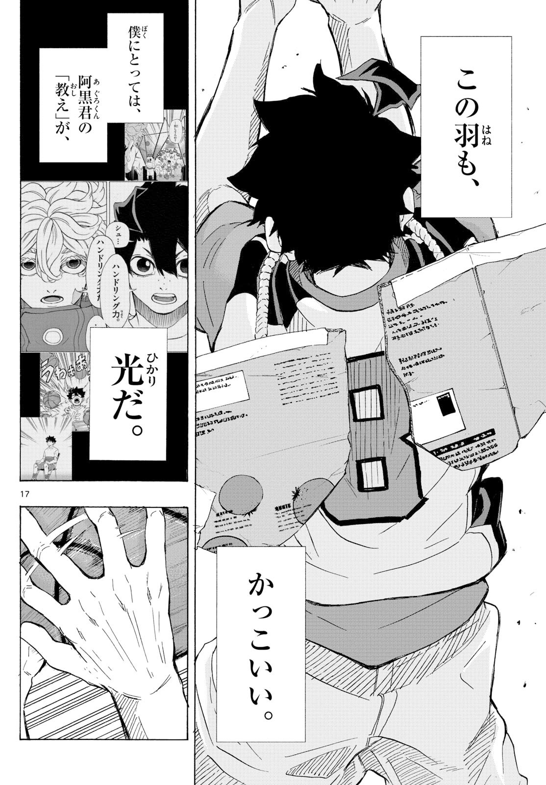 Page 17