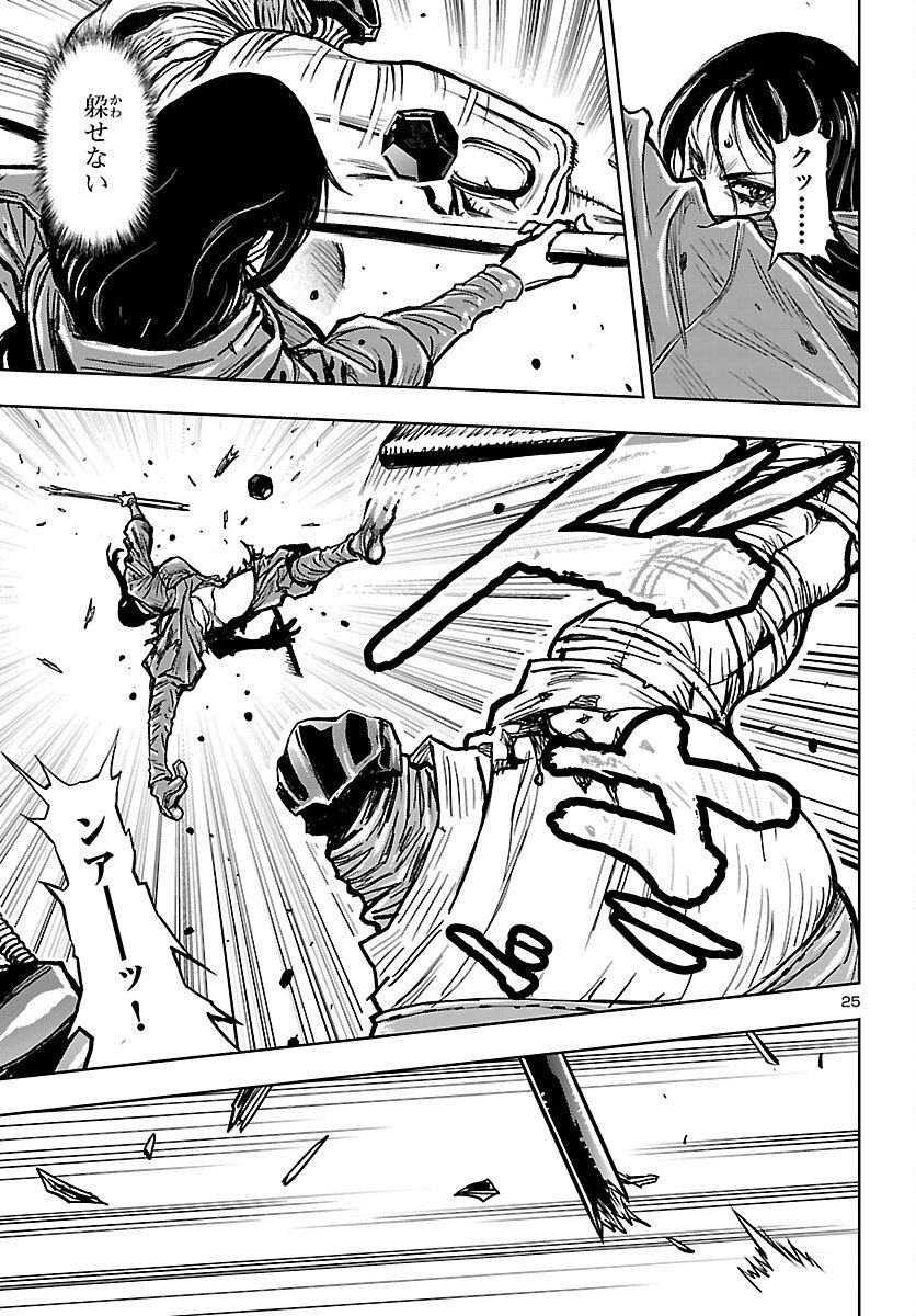 Page 25