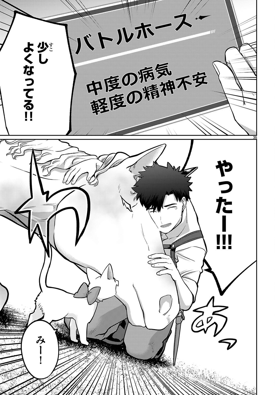 Page 35