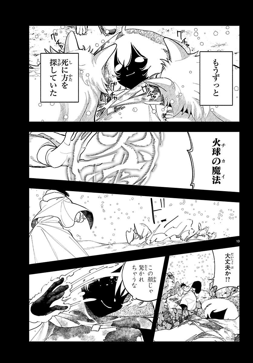 Page 13
