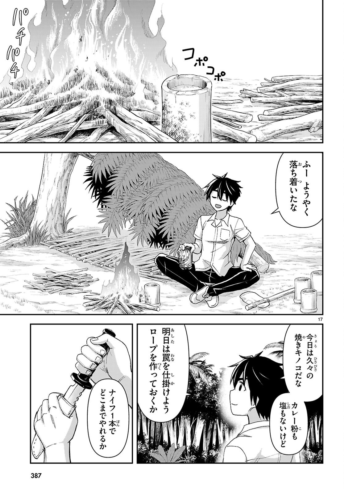 Page 17