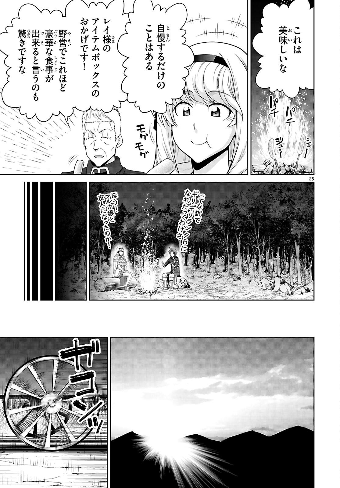 Page 25