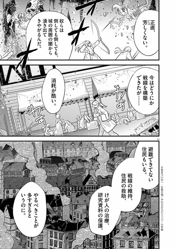 Page 13
