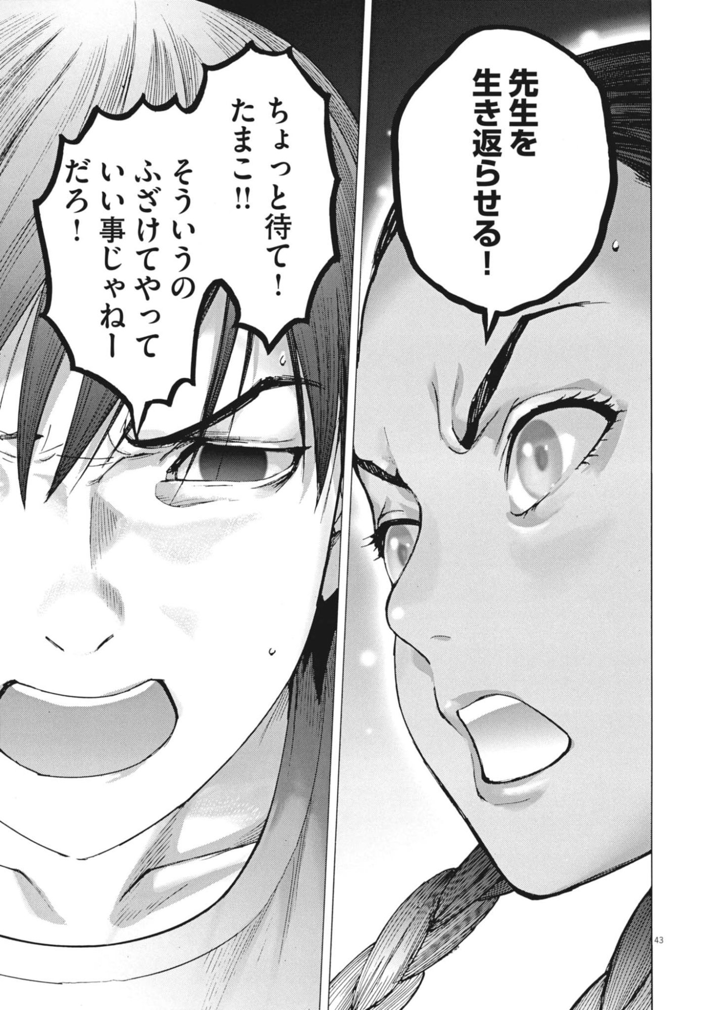 Page 43