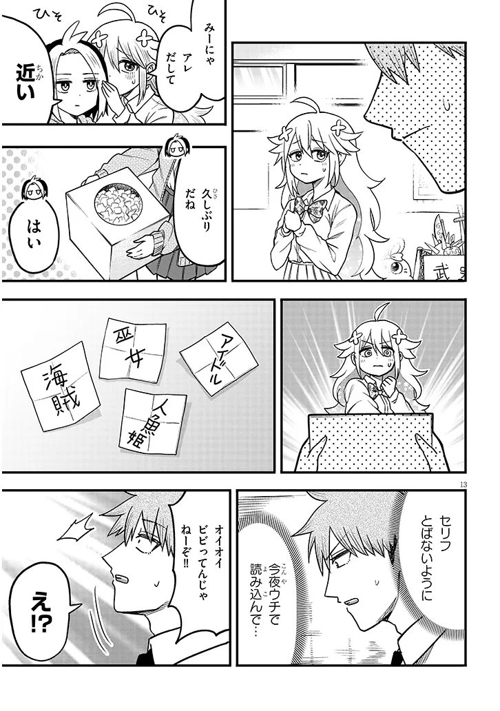 Page 13