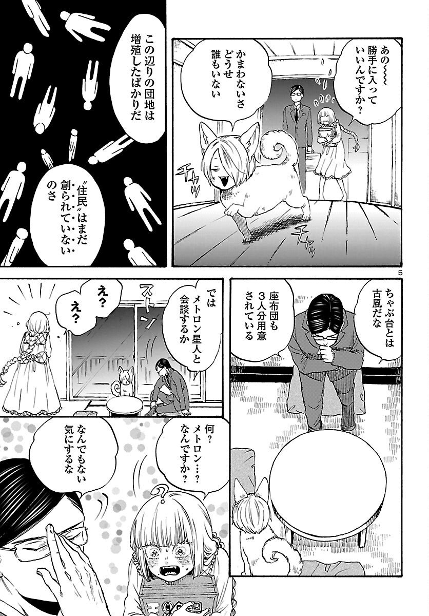 Page 5