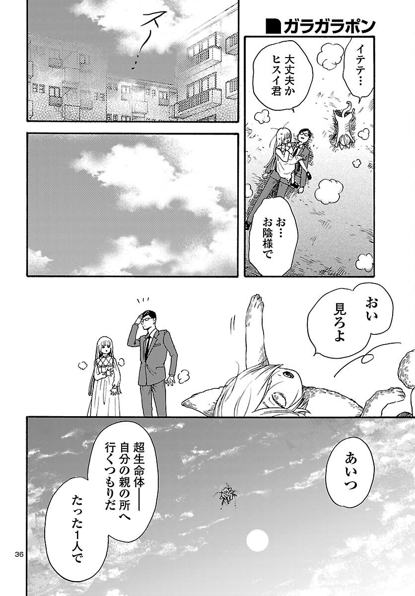 Page 36