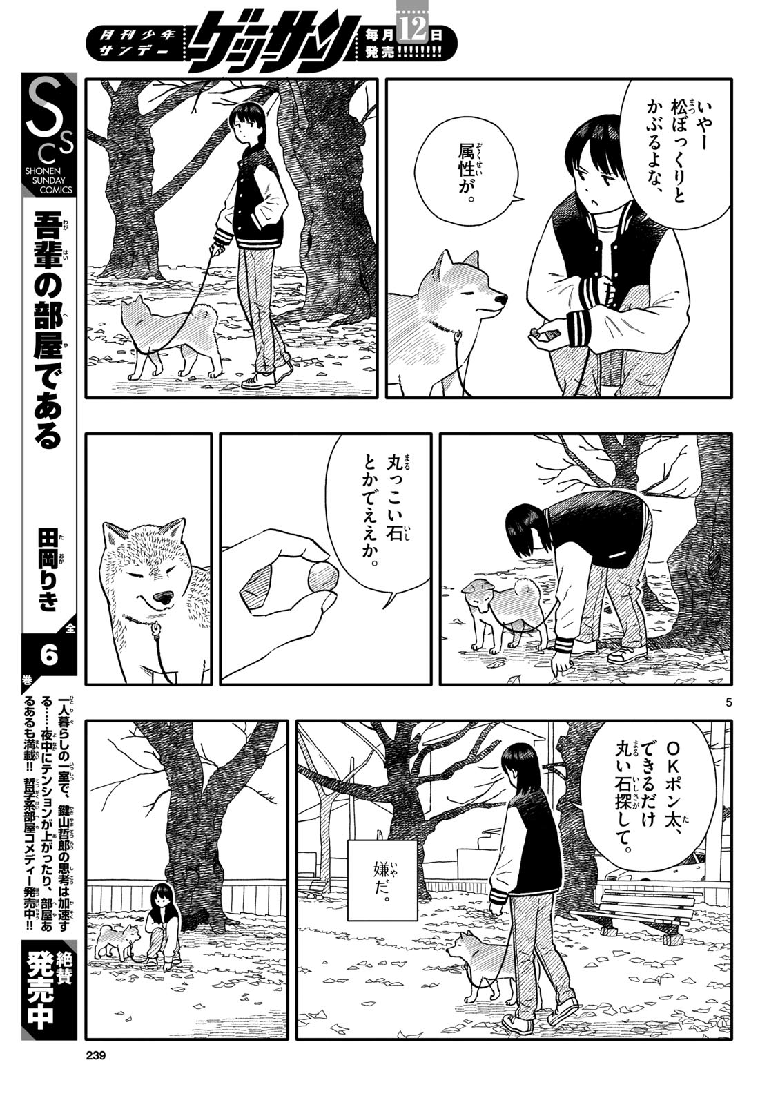 Page 5
