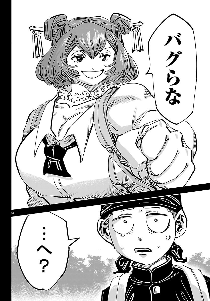 Page 14