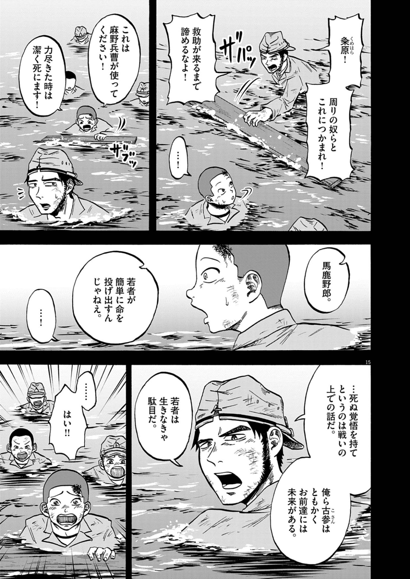 Page 15