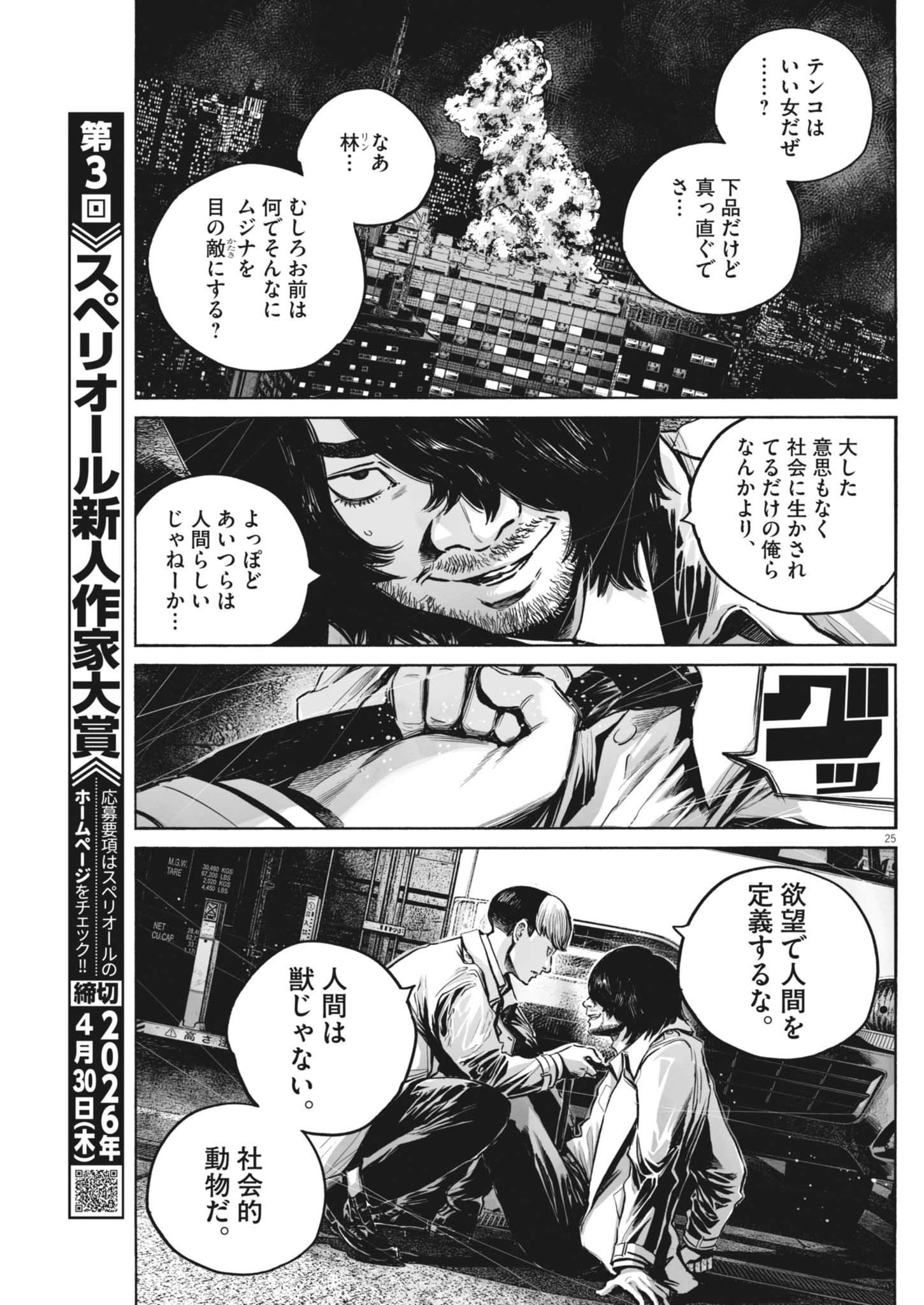 Page 25