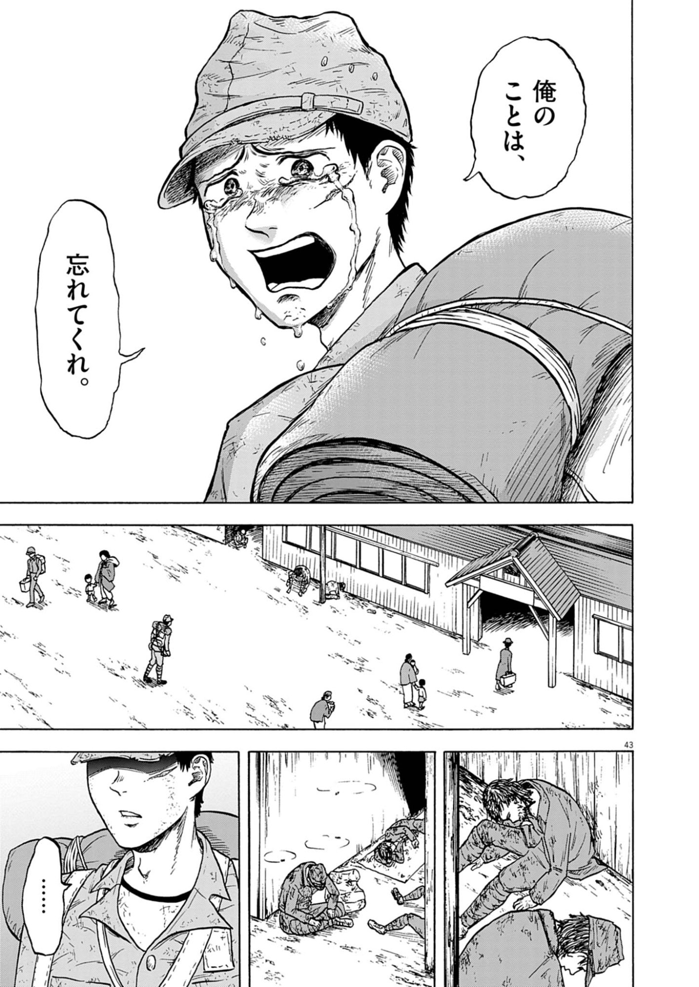 Page 43