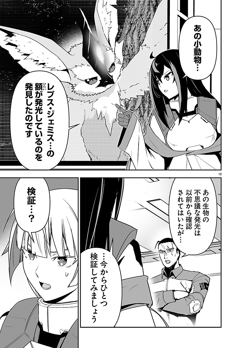Page 13