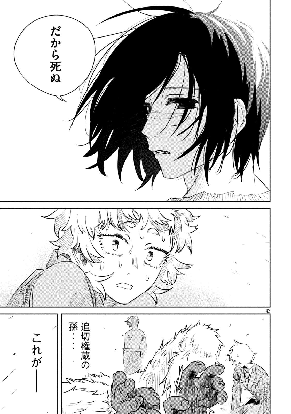Page 43