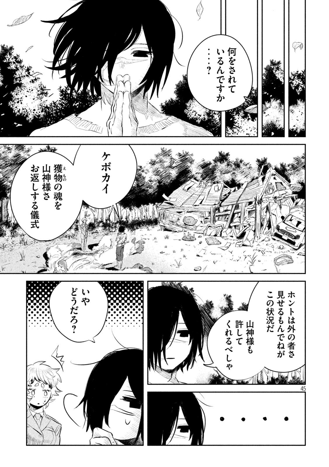 Page 45