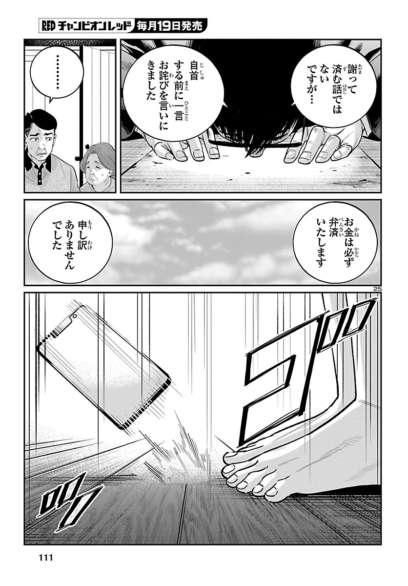 Page 25