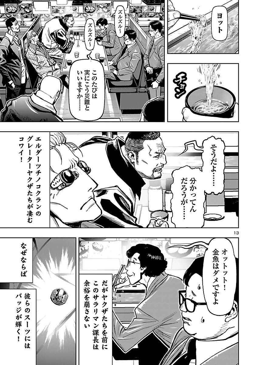 Page 13