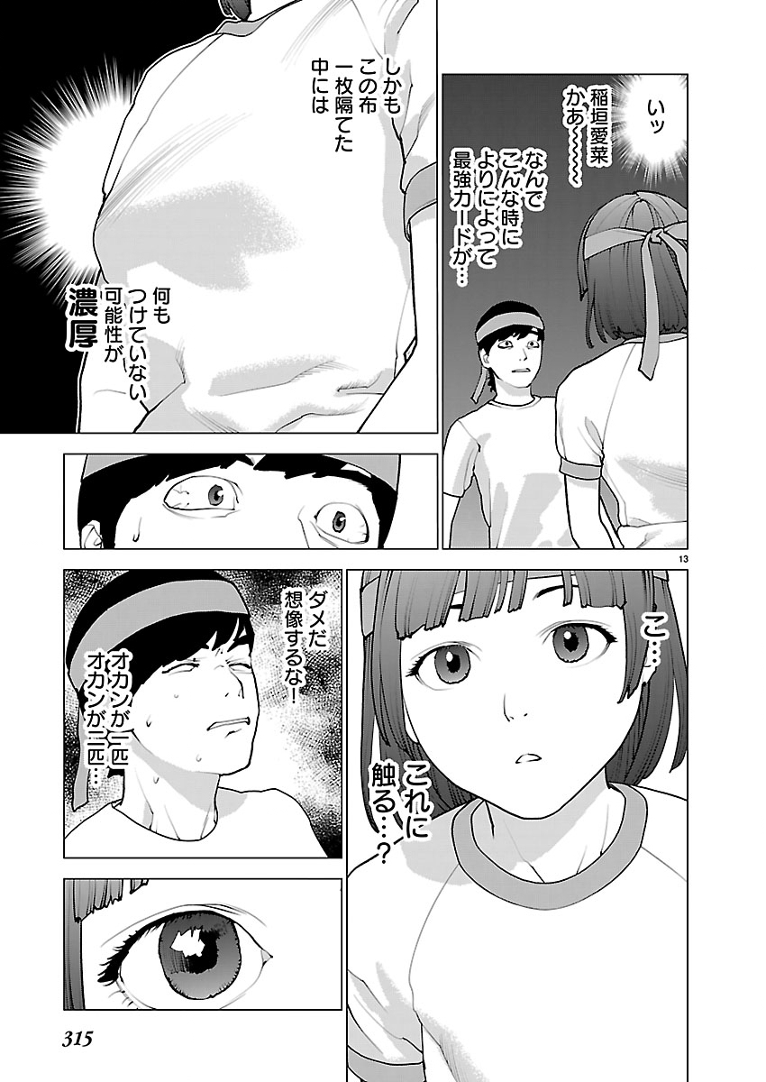 Page 13