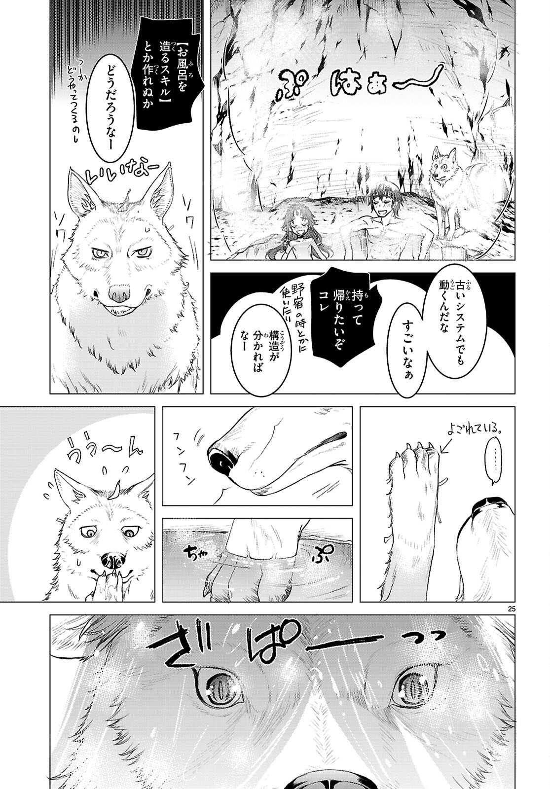 Page 25