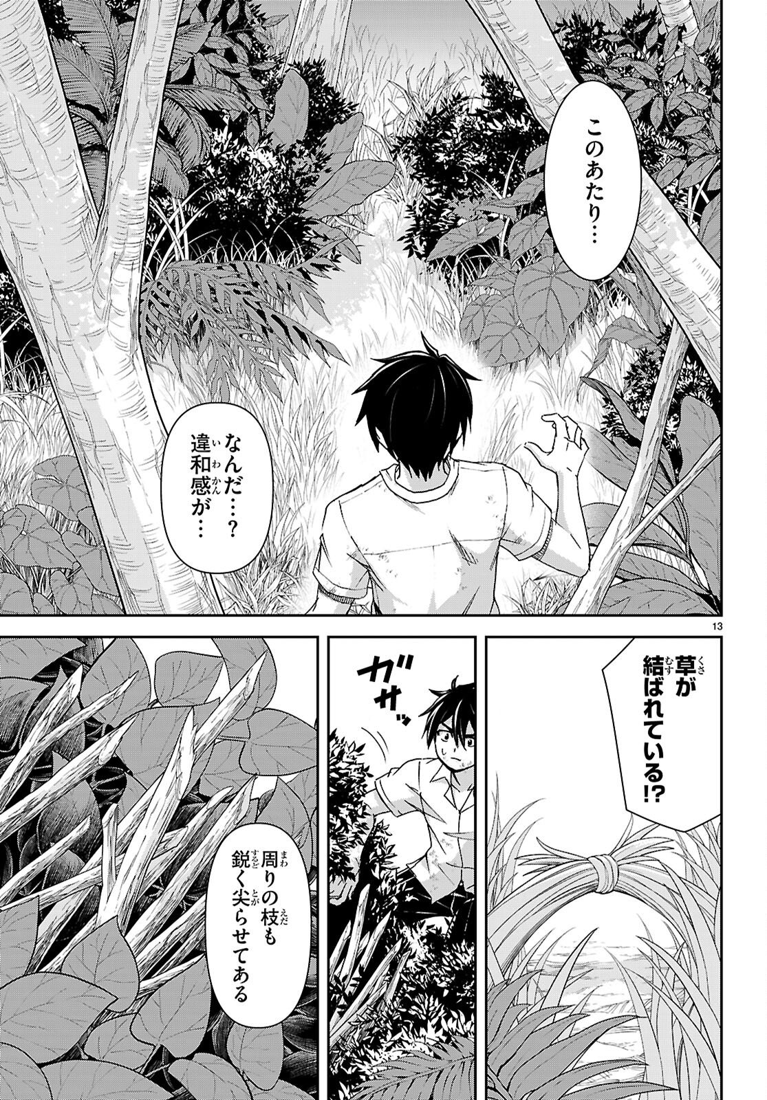 Page 13