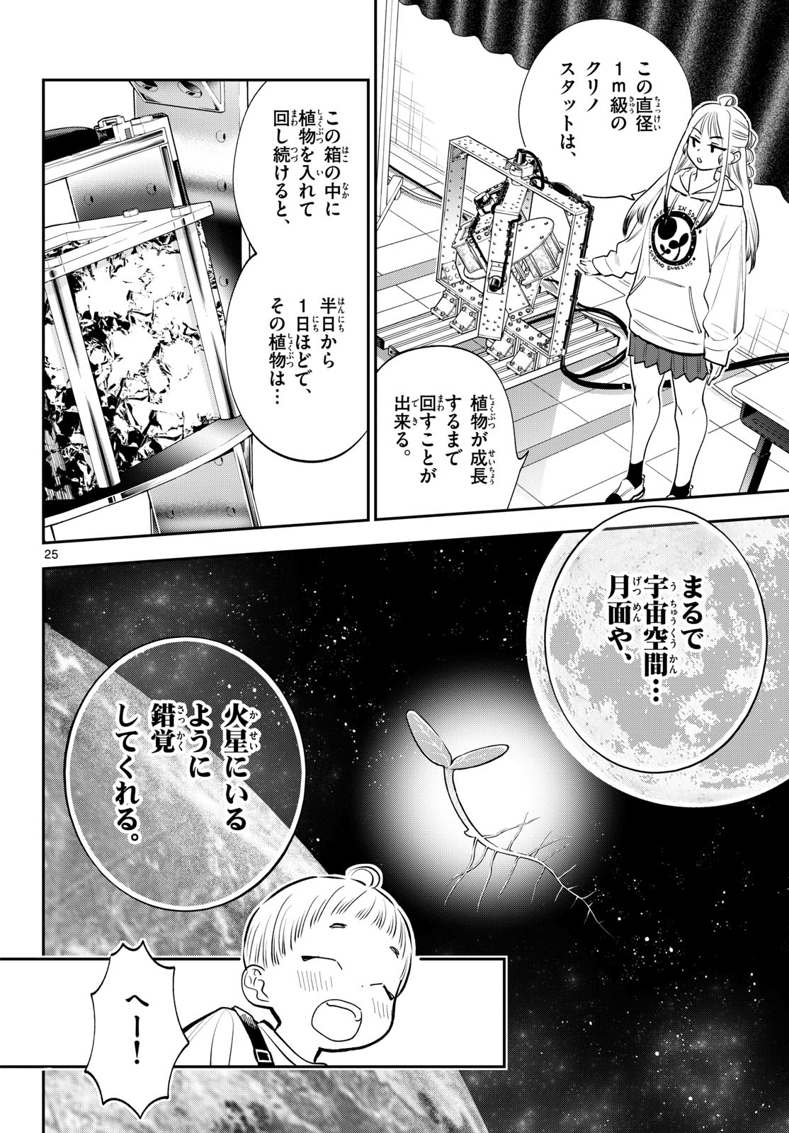 Page 25