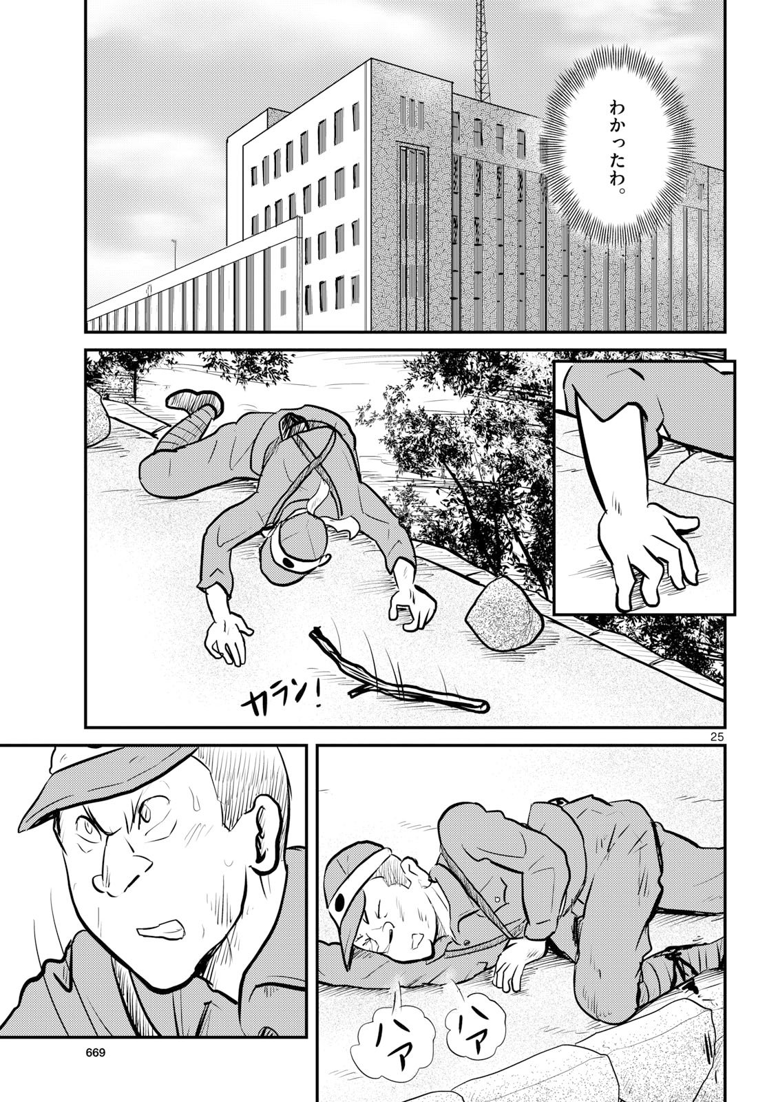 Page 25