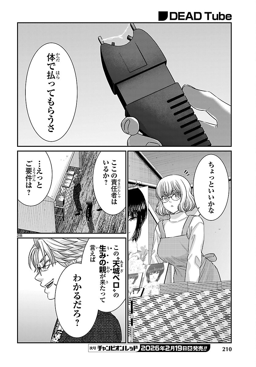 Page 28