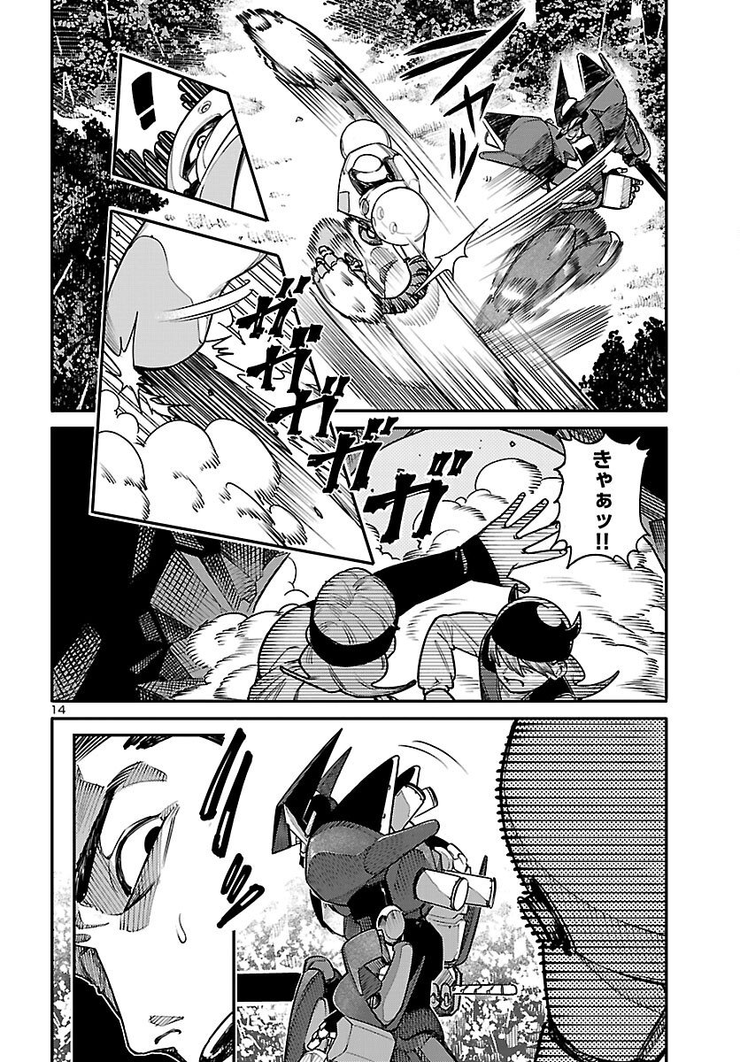 Page 14