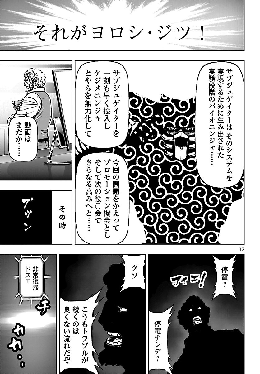 Page 17