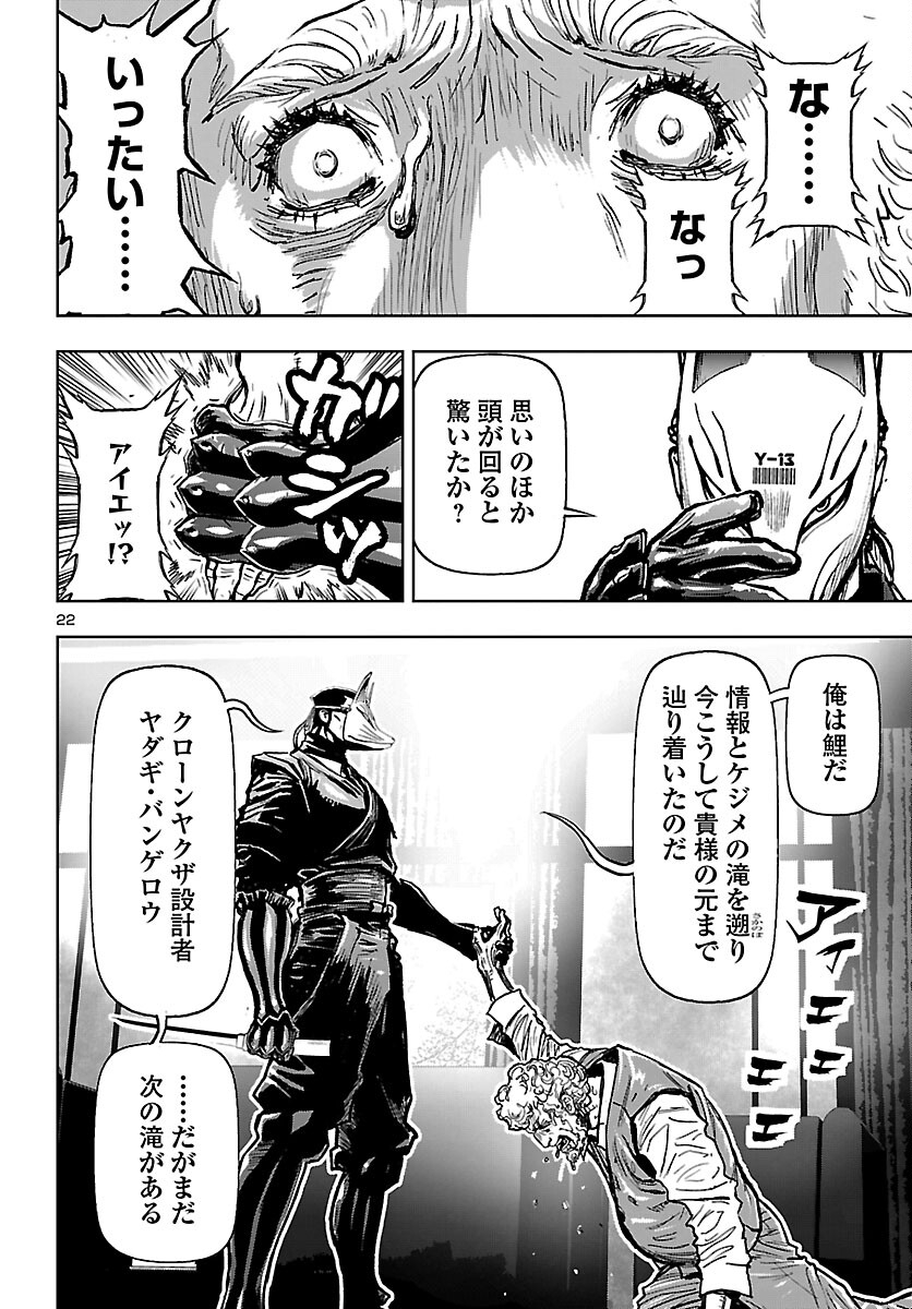 Page 22