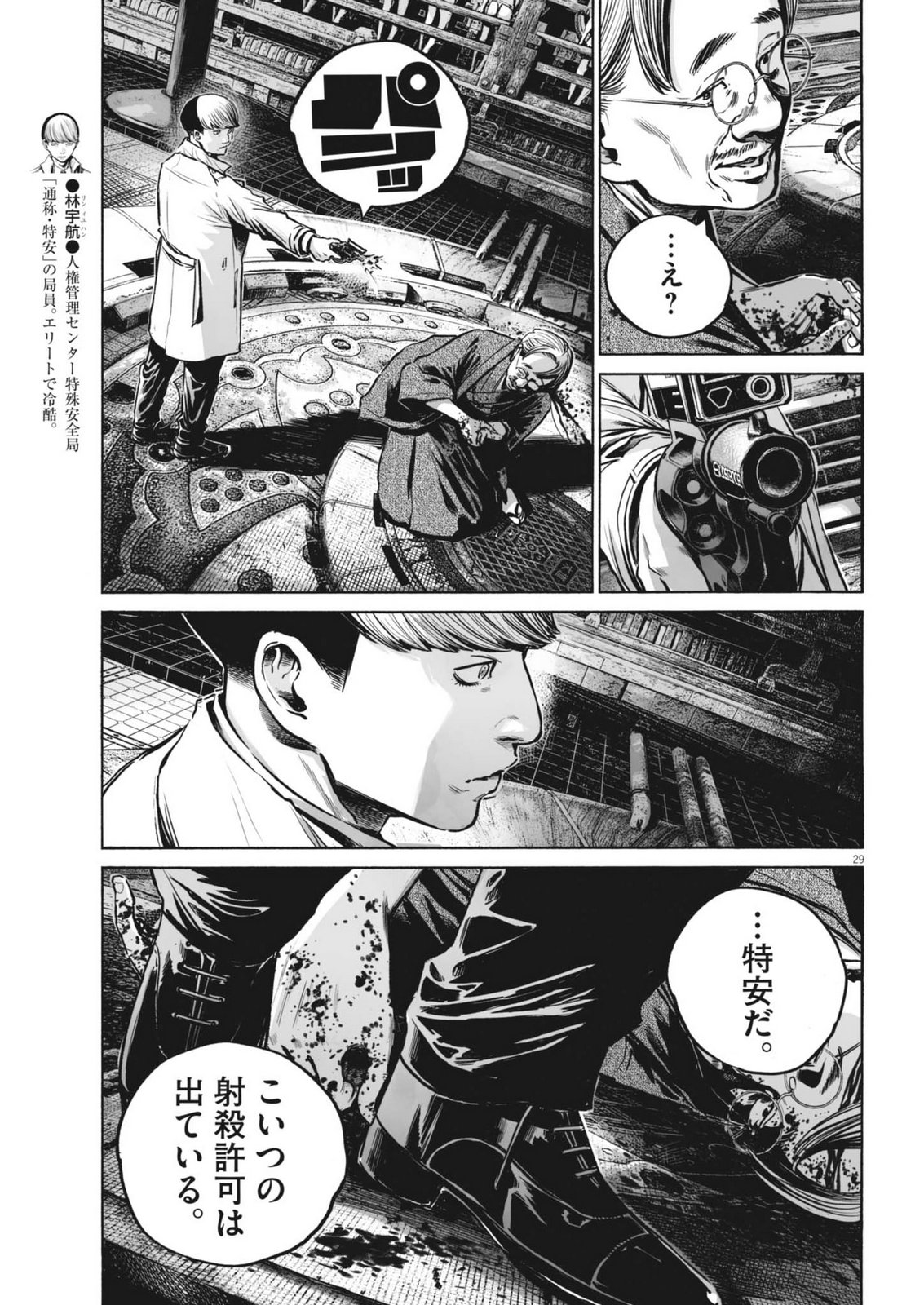 Page 29