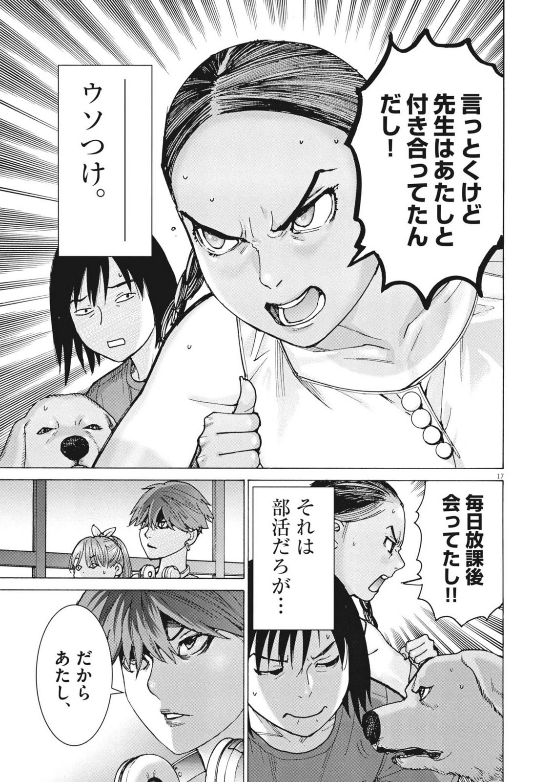 Page 17