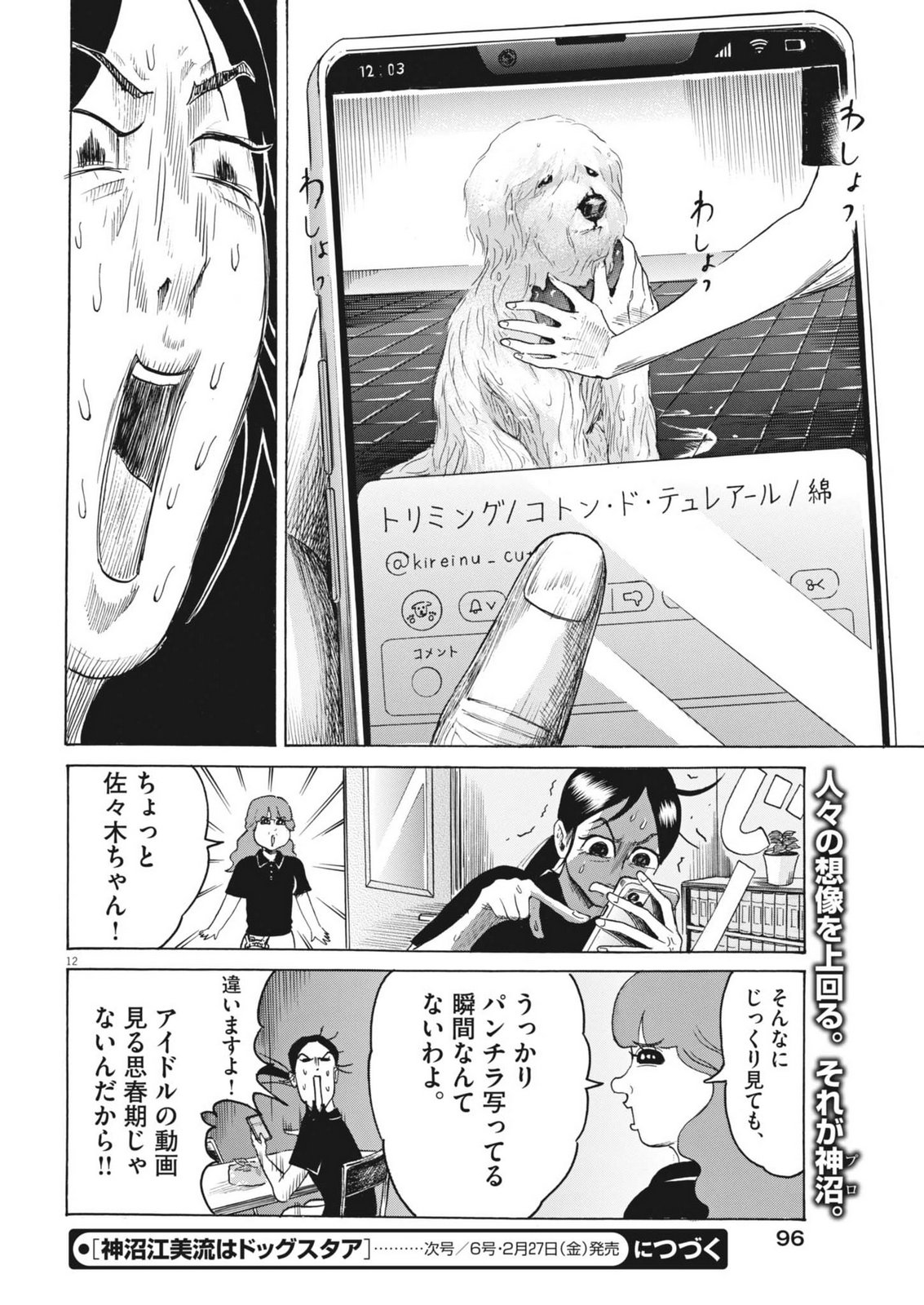 Page 12