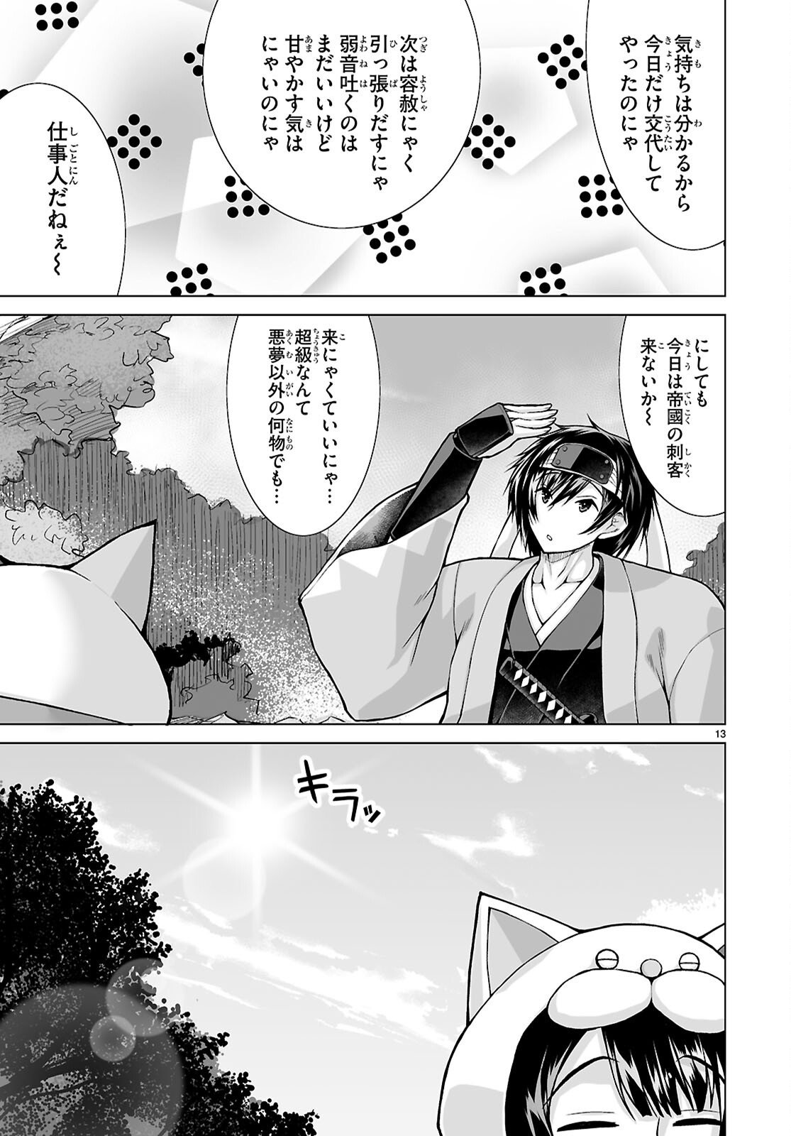 Page 13