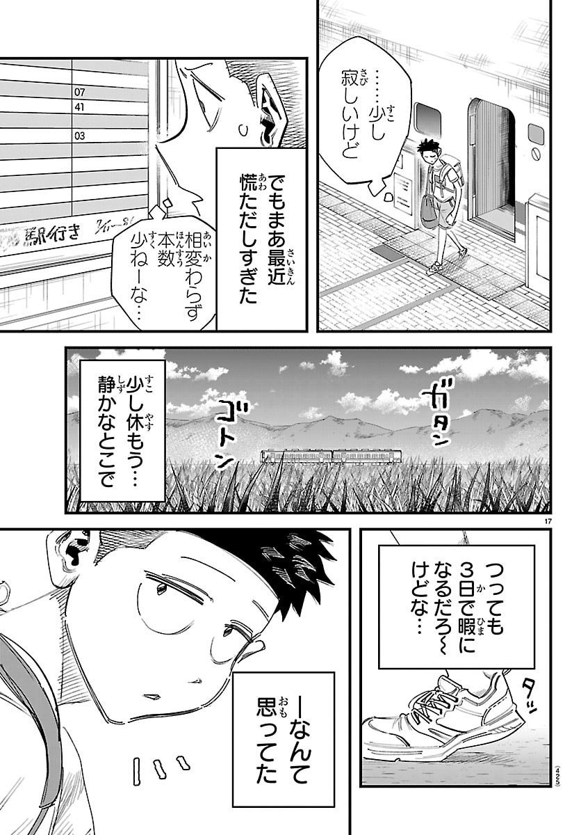 Page 17