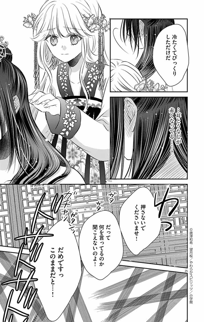 Page 25