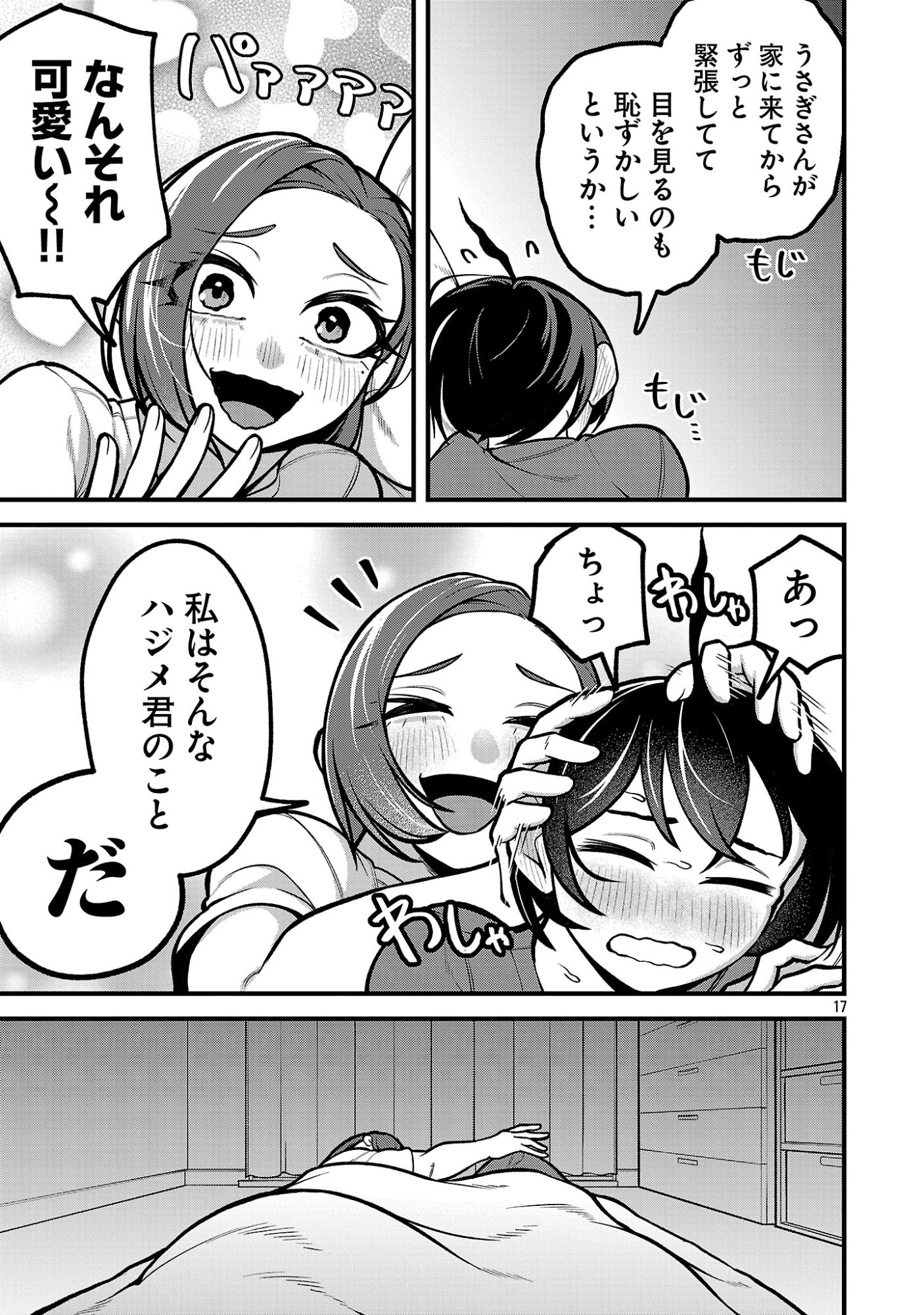 Page 17
