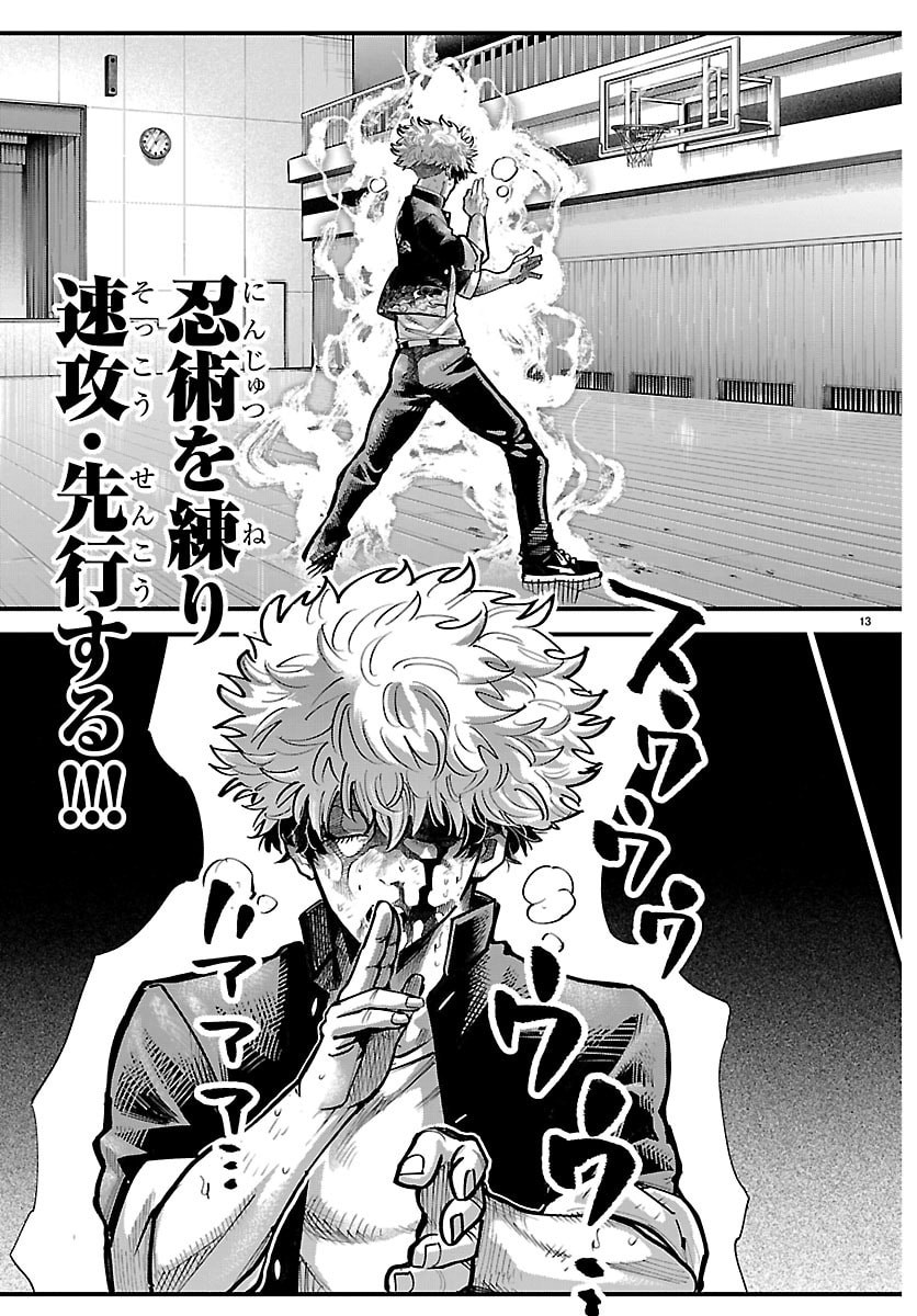 Page 13