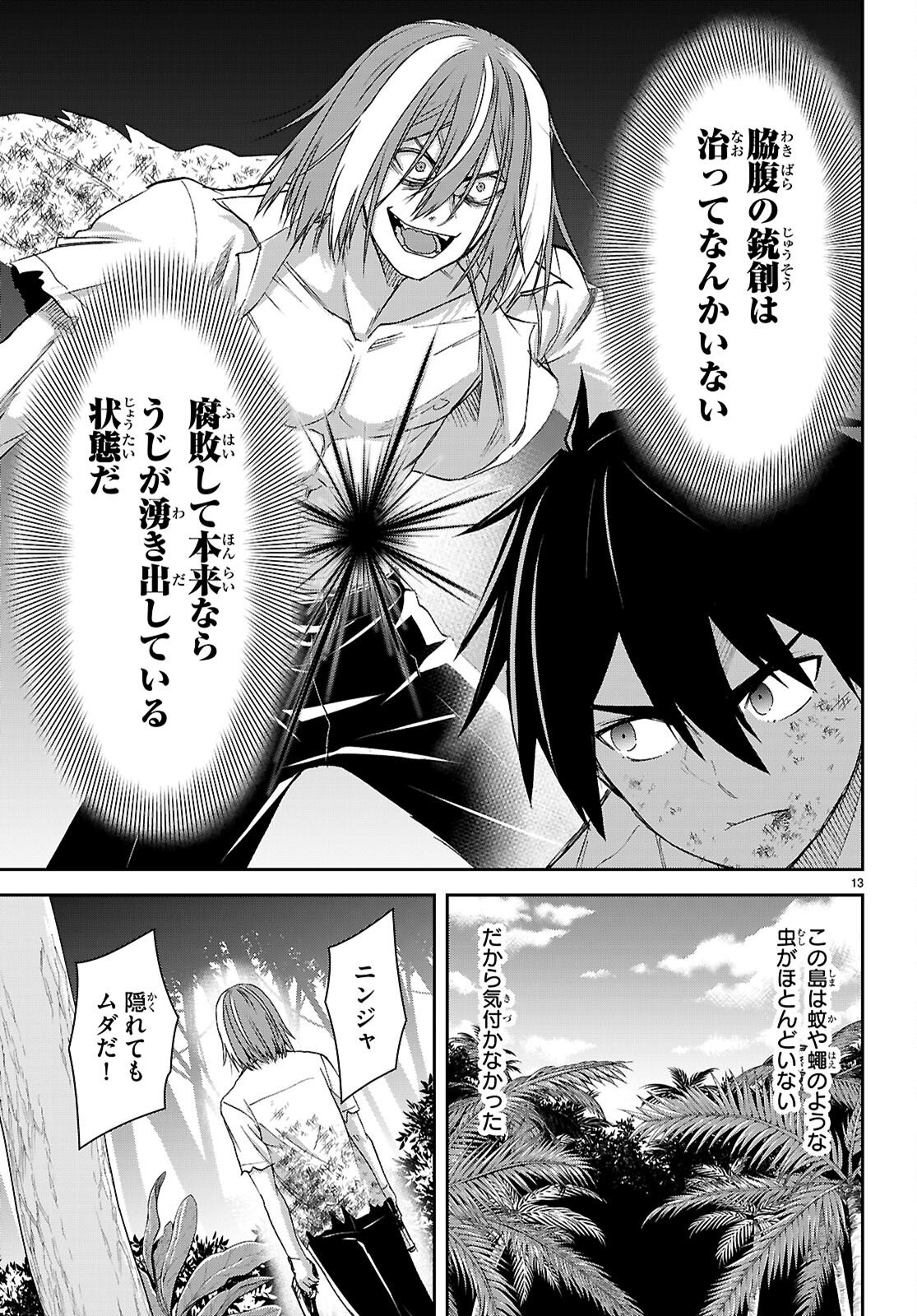 Page 13